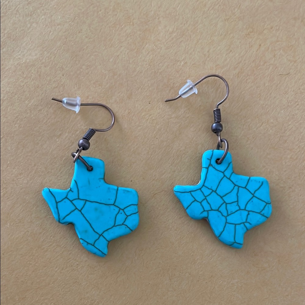Texas stone earrings